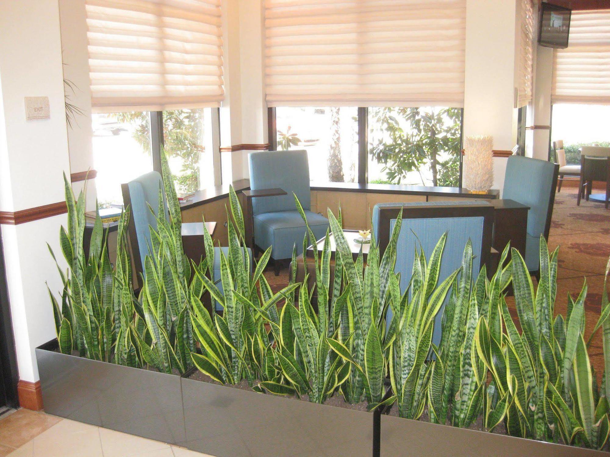 Courtyard By Marriott Dallas Arlington Entertainment District Luaran gambar